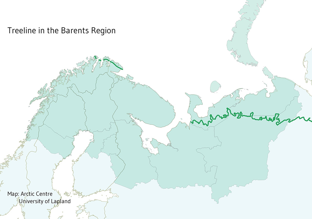 Puuraja Barentsin alueella, kartta